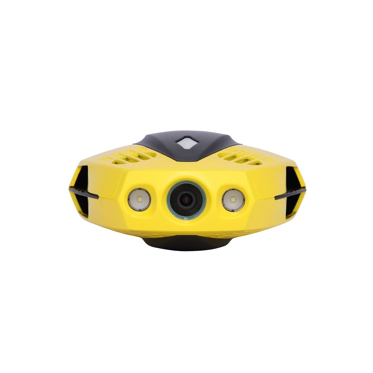 Chasing Dory Underwater Drone